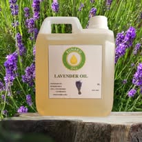 Lavender Oil