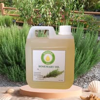 Rosemary Oil